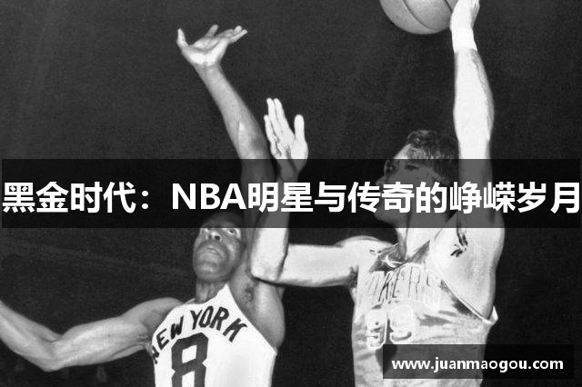 黑金时代：NBA明星与传奇的峥嵘岁月